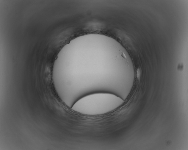 X0000093521203200710121121