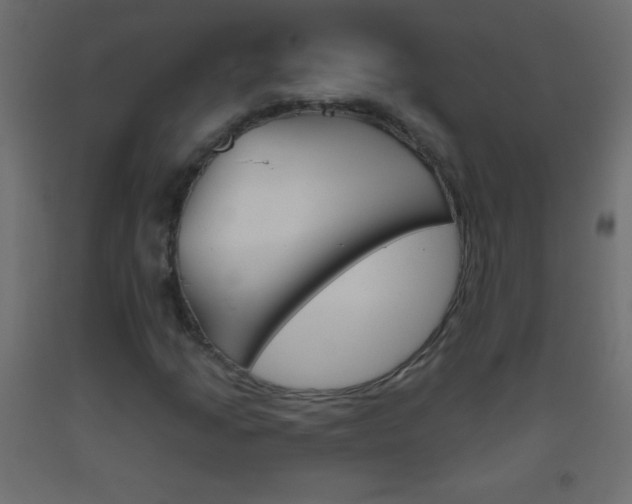 X0000093521205200710121121