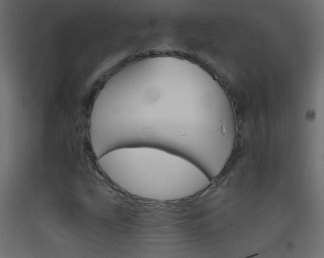 X0000093521207200710121121