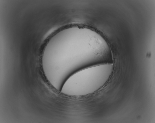 X0000093521208200710121121