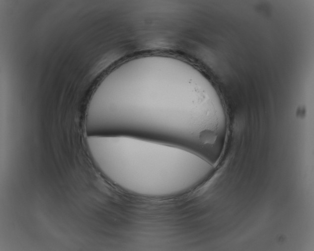 X0000093521209200710121121