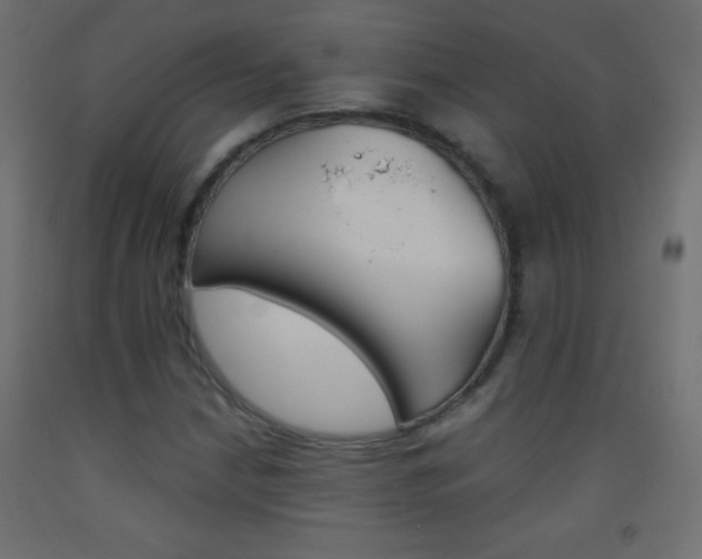 X0000093521210200710121121