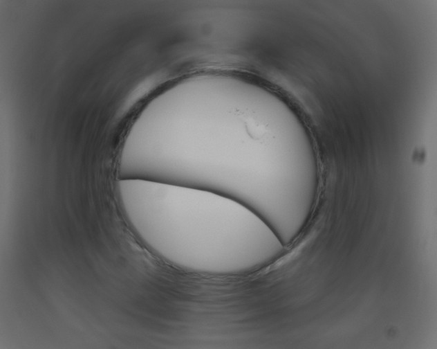 X0000093521211200710121121