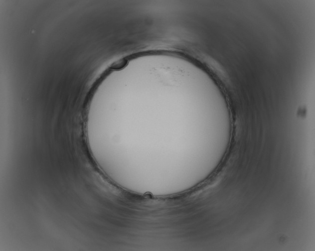 X0000093521212200710121121