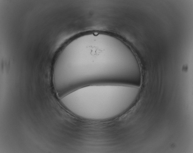 X0000093521214200710121121