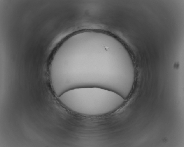 X0000093521215200710121121