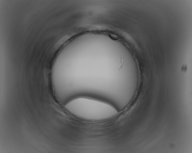 X0000093521217200710121121