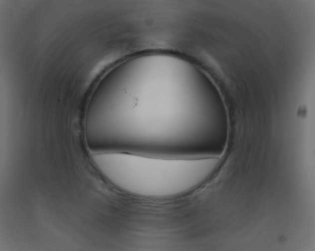 X0000093521218200710121121