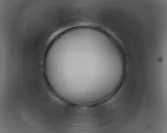 X0000093521222200710121121