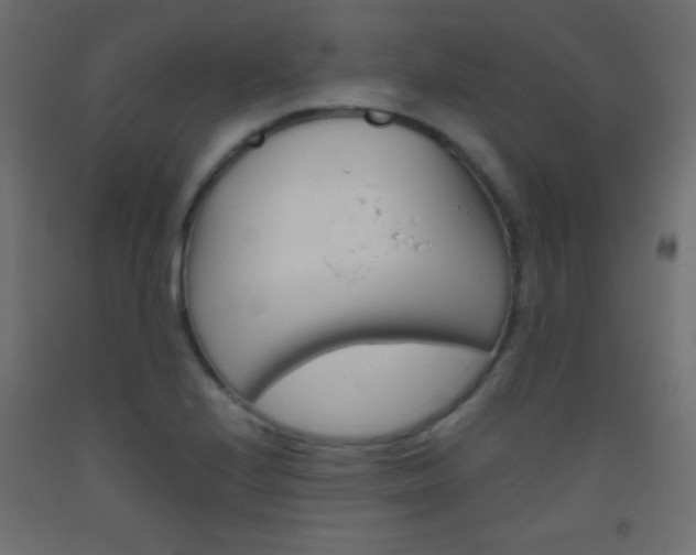 X0000093521224200710121121