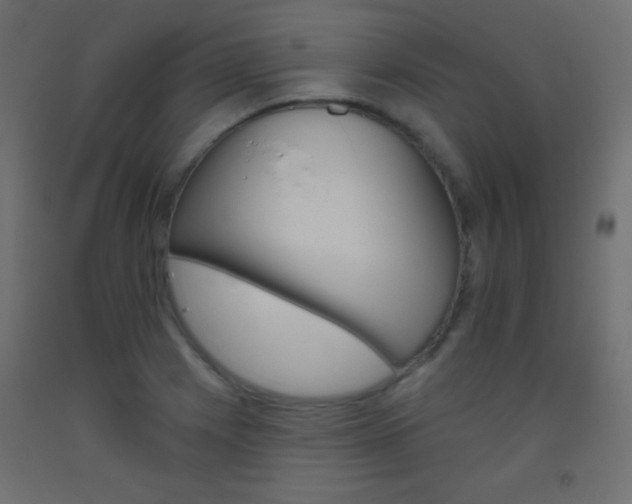 X0000093521225200710121121