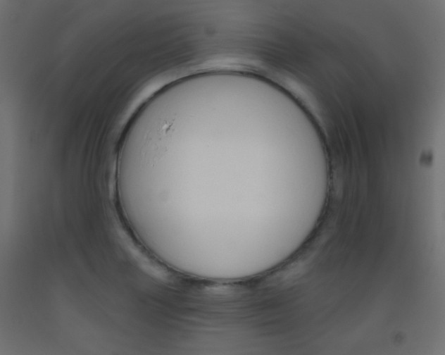 X0000093521227200710121121