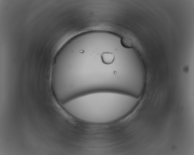 X0000093521228200710121121