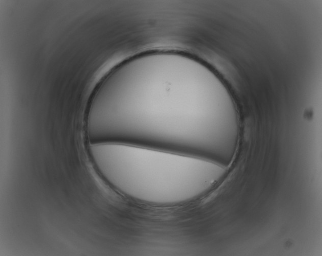 X0000093521229200710121121