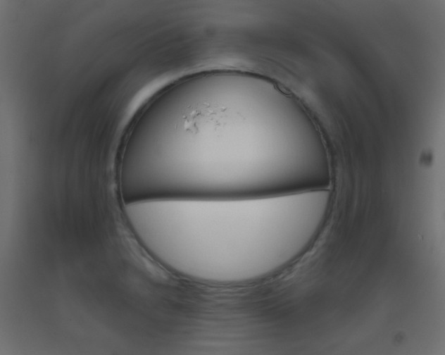 X0000093521230200710121121