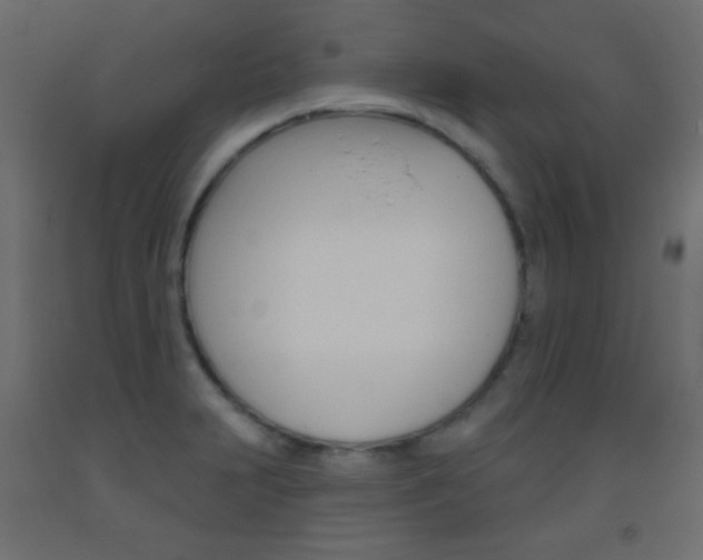 X0000093521231200710121121