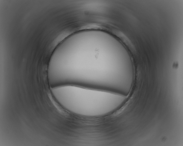 X0000093521233200710121121
