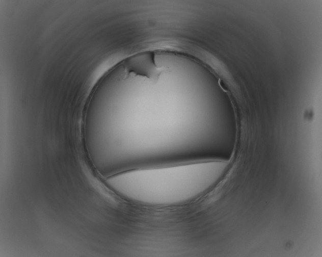 X0000093521234200710121121