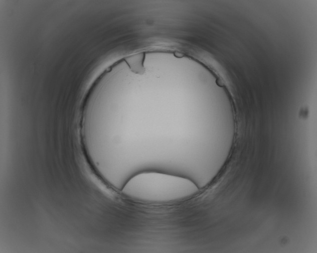 X0000093521235200710121121