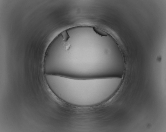 X0000093521236200710121121