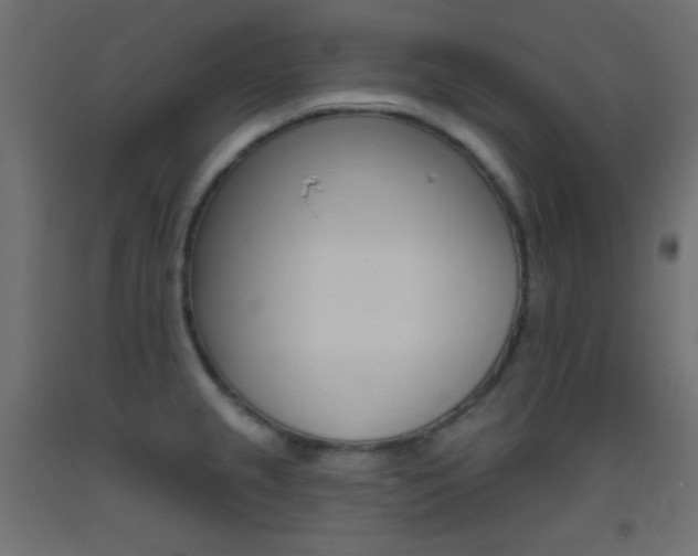 X0000093521237200710121121