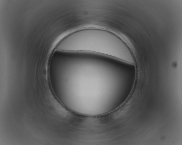 X0000093521238200710121121
