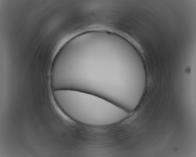 X0000093521239200710121121