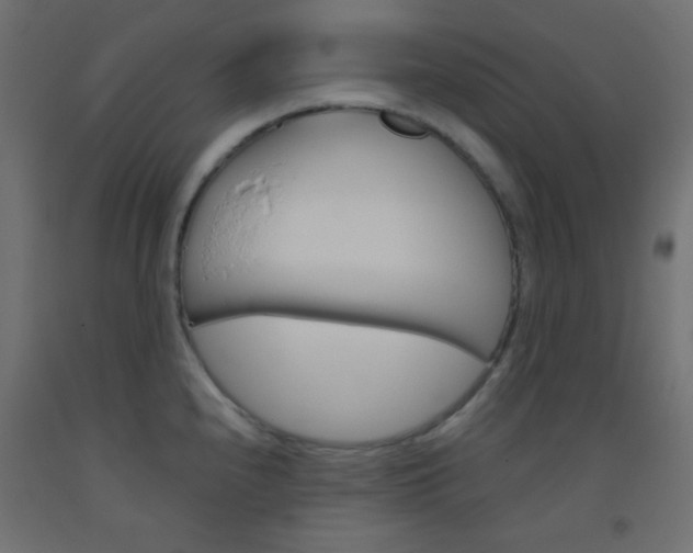X0000093521240200710121121