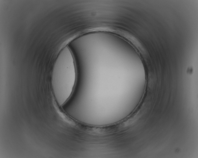X0000093521241200710121121