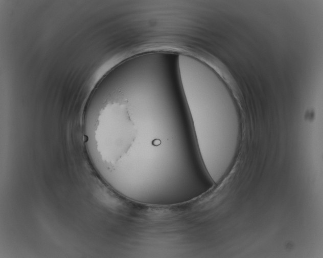 X0000093521242200710121121