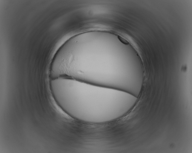 X0000093521243200710121121
