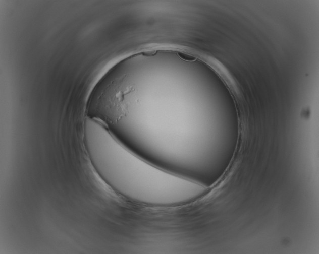 X0000093521244200710121121