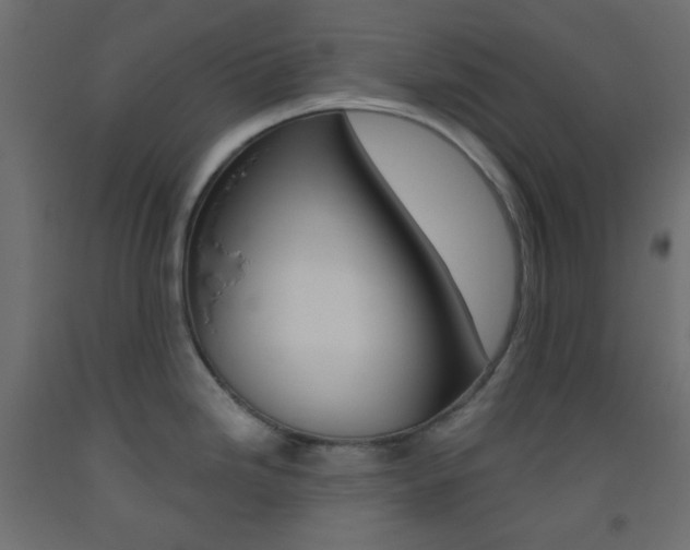 X0000093521246200710121121