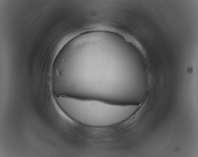 X0000093521247200710121121
