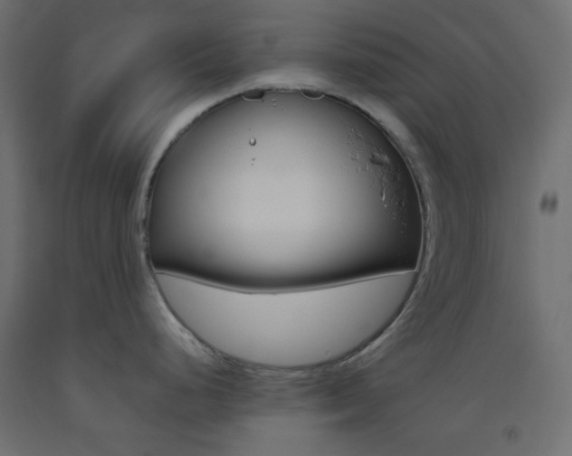 X0000093521248200710121121