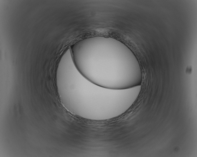 X0000093521249200710121121
