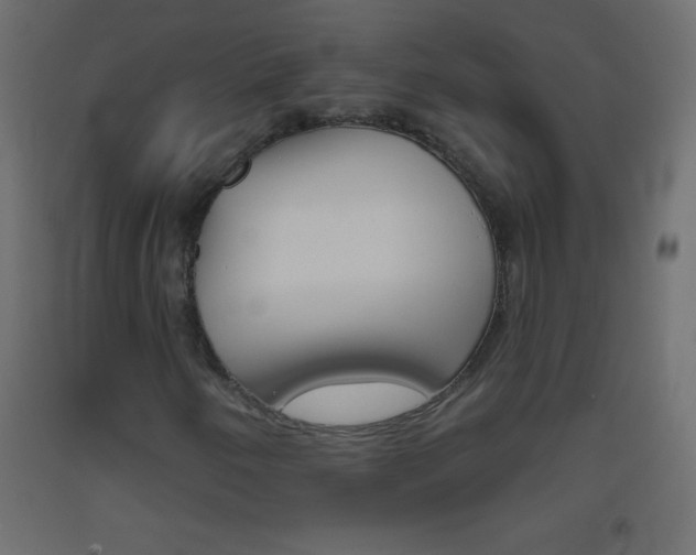 X0000093521250200710121121