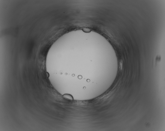 X0000093521251200710121121