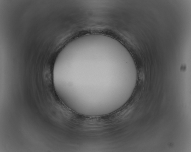 X0000093521252200710121121