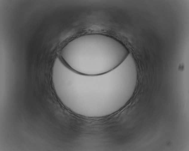 X0000093521253200710121121