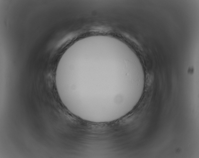 X0000093521254200710121121