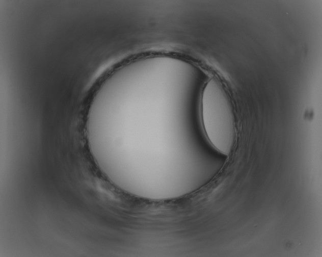 X0000093521256200710121120