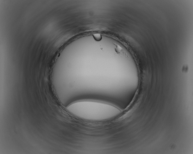 X0000093521257200710121120