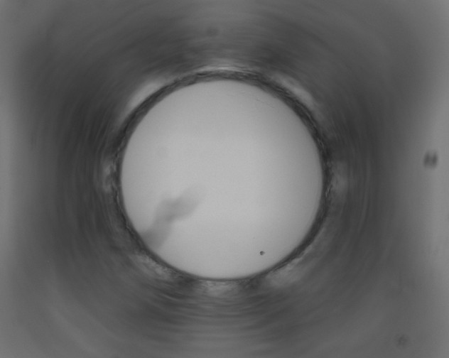 X0000093521258200710121120