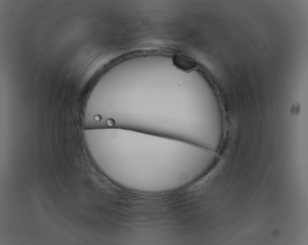 X0000093521259200710121120