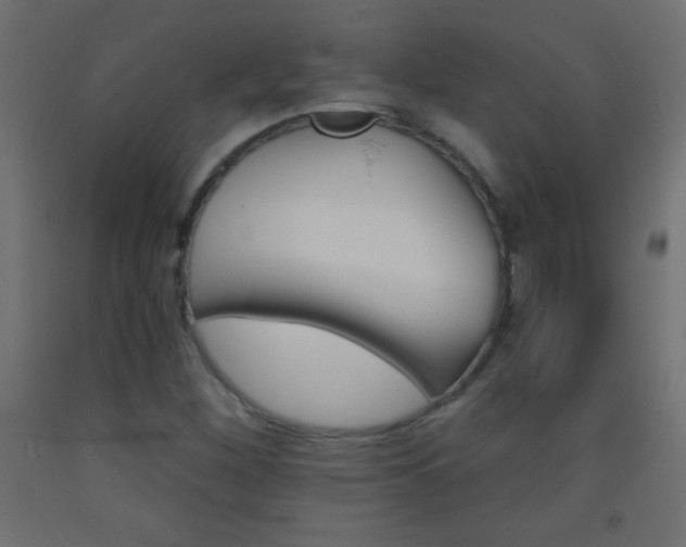 X0000093521260200710121120
