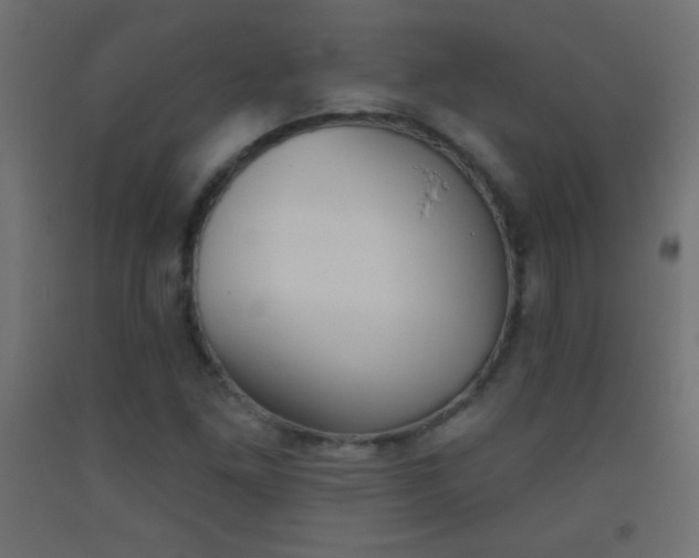 X0000093521261200710121120