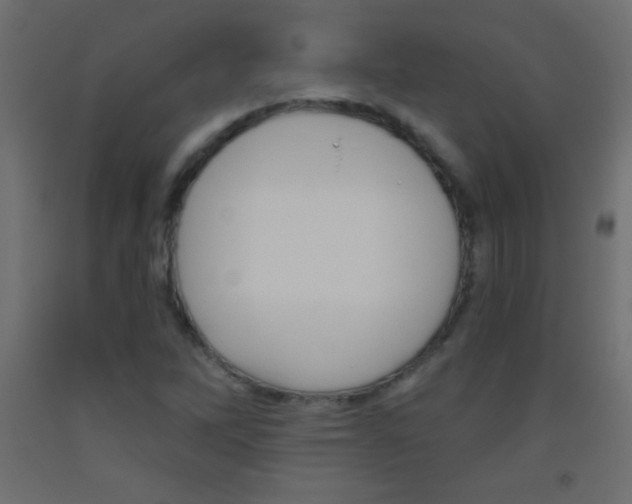 X0000093521262200710121120