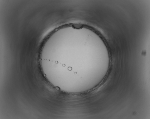 X0000093521263200710121120