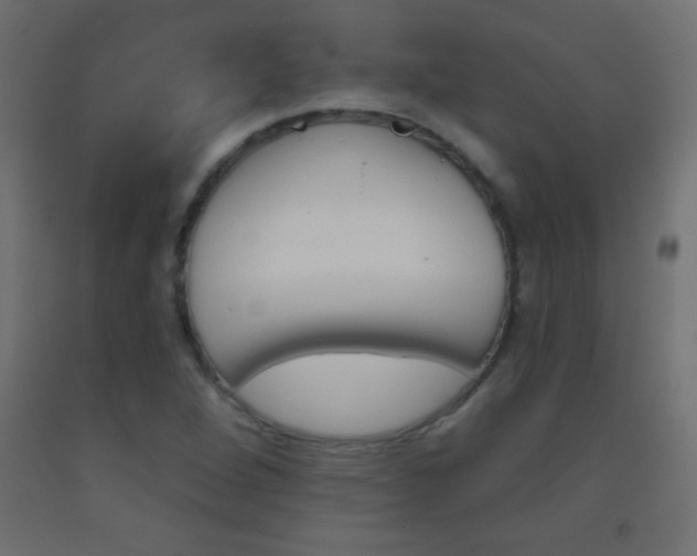 X0000093521264200710121120